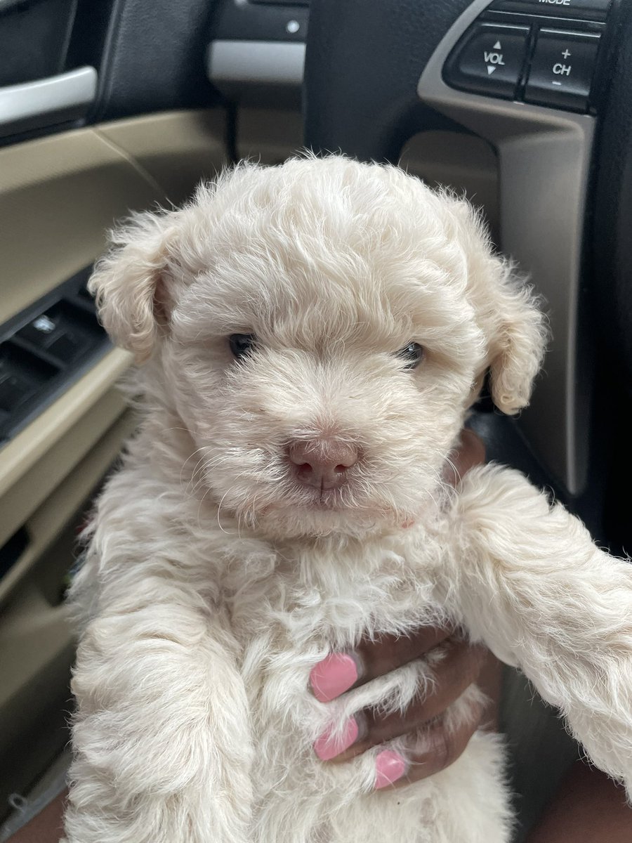 mycwil's tweet photo. Update, I went and got my own 😂😅 https://t.co/itKavIv3s0