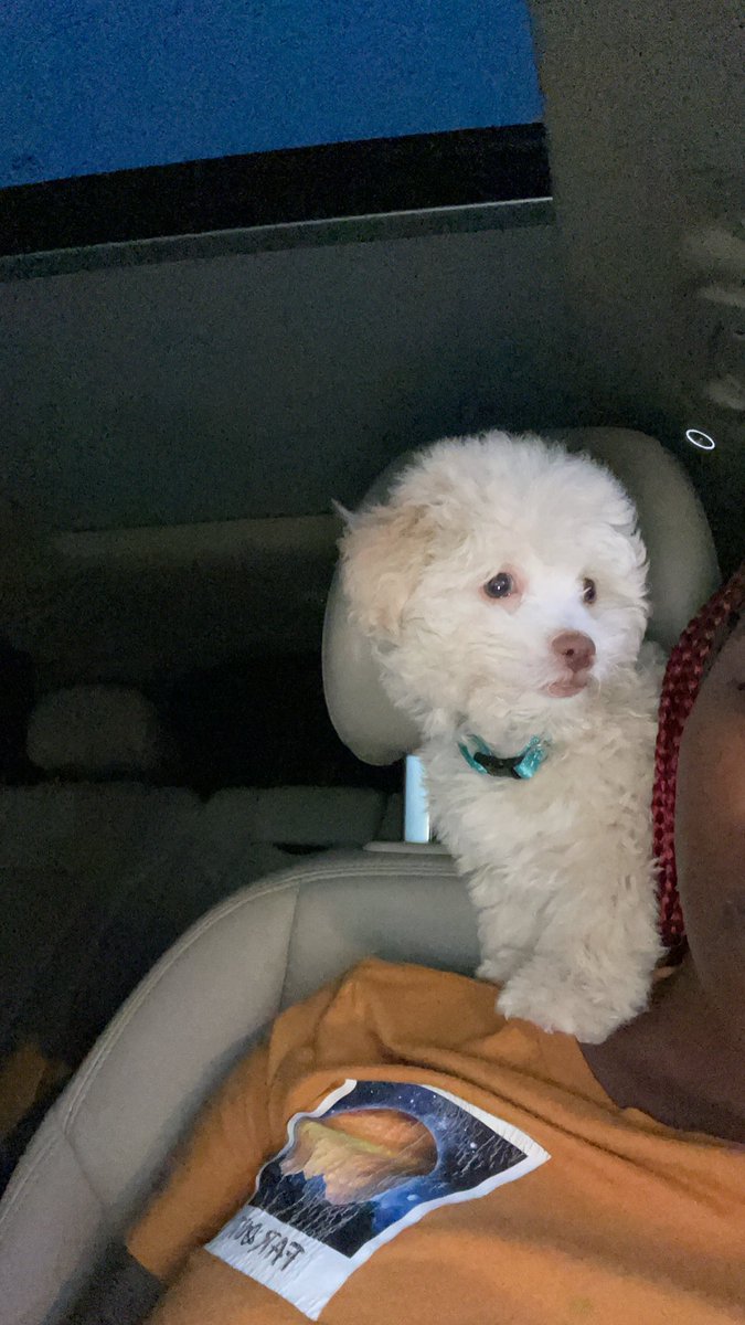 mycwil's tweet photo. Update, I went and got my own 😂😅 https://t.co/itKavIv3s0