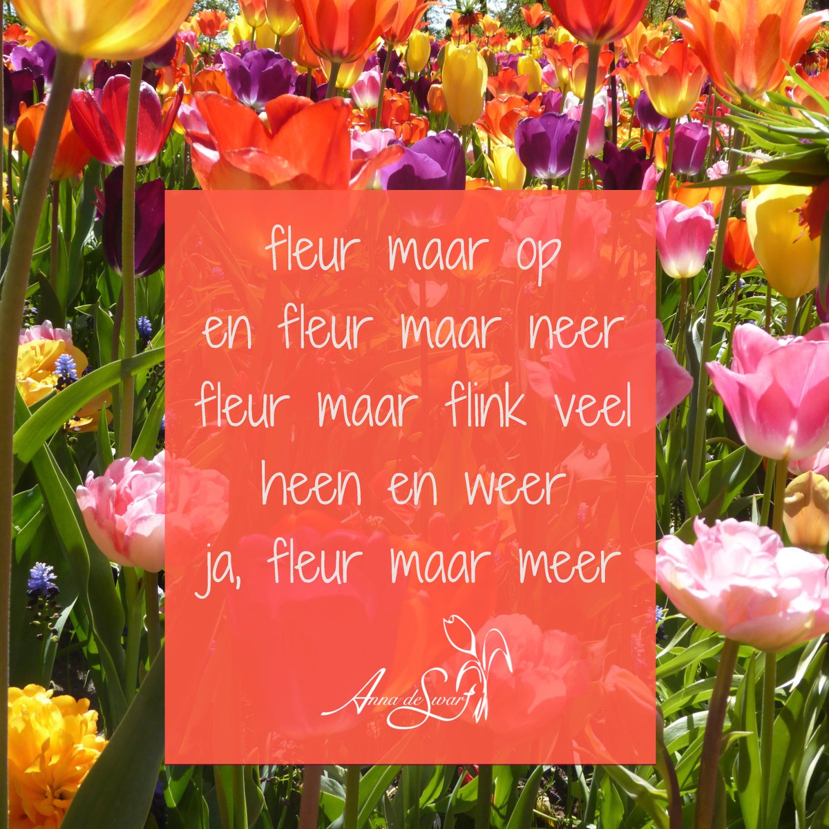 VersjesVanAnna's tweet photo. Hoe fleur jij?
Voor jezelf, voor je vrienden die misschien niet meer kunnen fleuren, voor de wereld?
#versjesvanannadeswart
https://t.co/TcqMk77tBS https://t.co/iajdQVRQSB