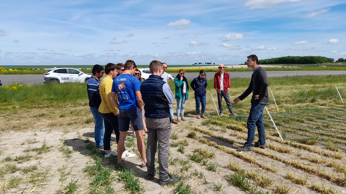 junia_isa_lille's tweet photo. Sur le terrain, avec les alternants 5e année @Junia_ingenieur @ISA_Lille, spé #AgriSmart: visites d’exploitations #Bio #ACS, de sites expérimentaux #champagne #bioéconomie #digistation, et découverte de la viticulture des pieds de vigne aux caves #innovation #durabilité https://t.co/uQD2ssKp7x