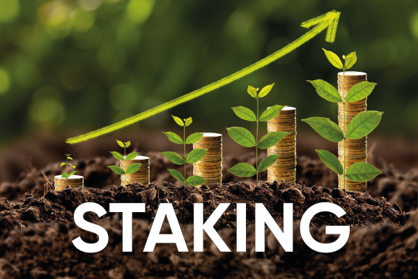 Achi_Coin's tweet photo. Some thoughts about staking... 
What is staking? How long do I have to wait to get paid for staking? How does the blockchain system distribute interest among stakers?
Read here https://t.co/ruZdf9wf0D https://t.co/3mbV98qEfQ