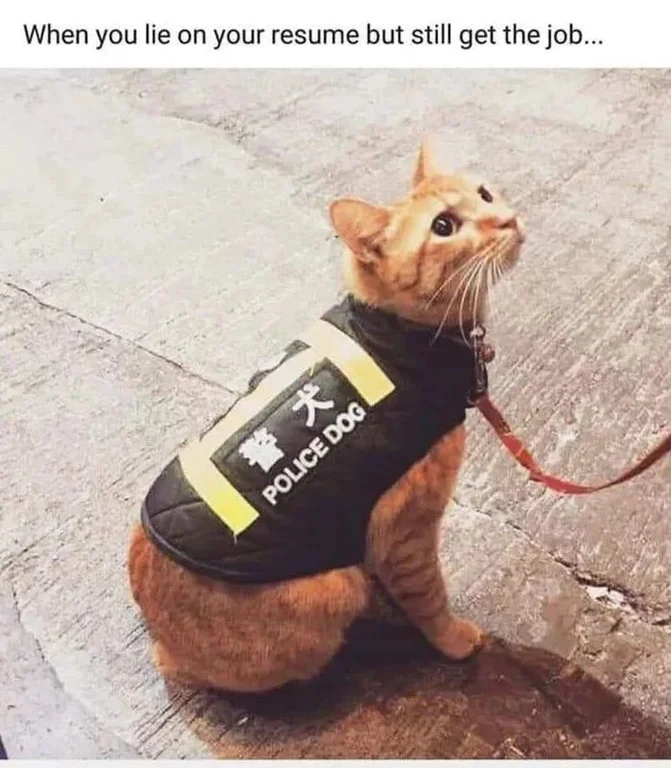 WholesomeMeme's tweet photo. https://t.co/JizfCfNnmX