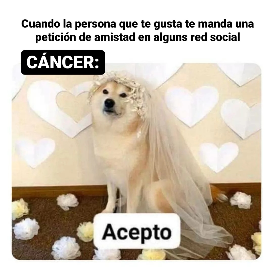 Sí somos 🤣