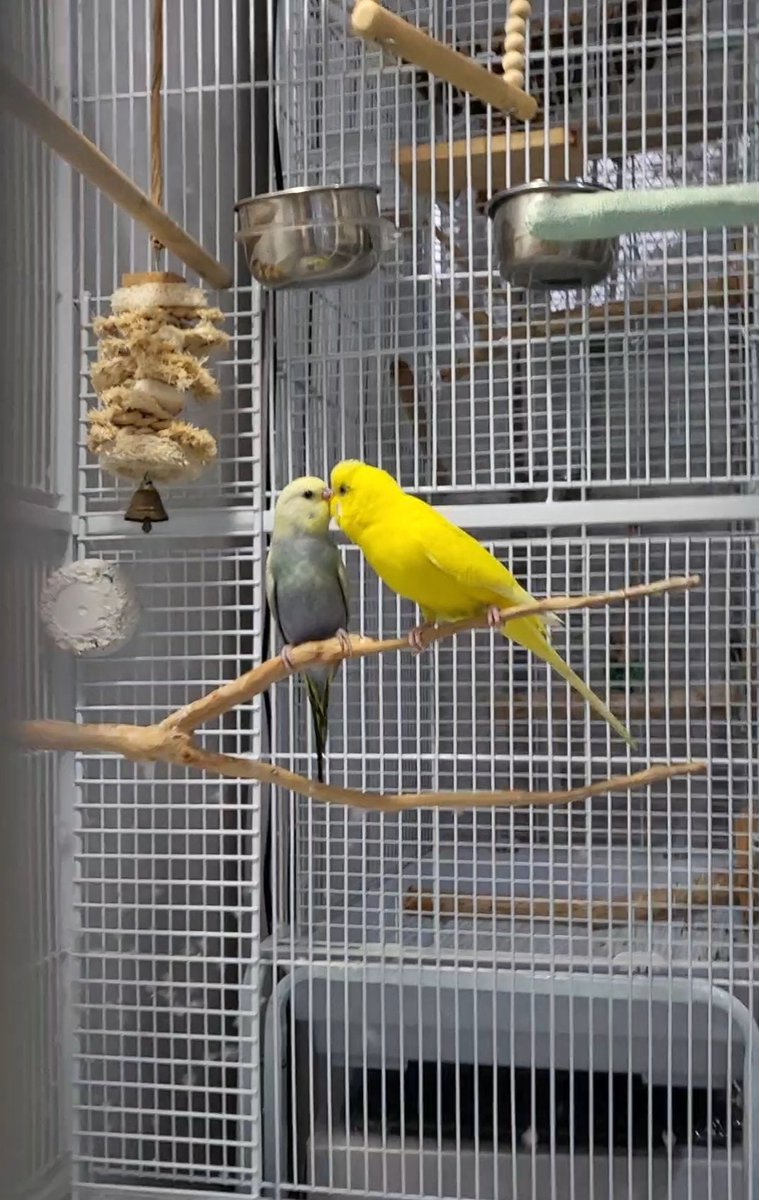 Hannah | hahchu.eth tweet media