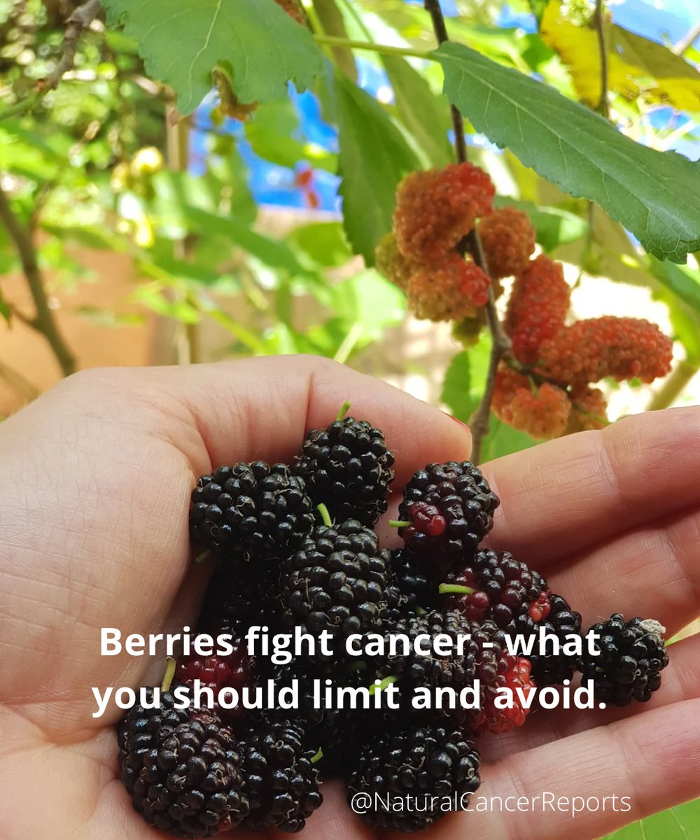 Cancer_Reports's tweet photo. You should limit your consumption of fruit juices since they contain higher amounts of sugars. A 1/4 cup or 125 ml is the upper limit of acceptable calories since the liquids typically don’t contain fiber to blunt the sugar impact.  https://t.co/Y6dPpEcrfX https://t.co/gsJtzzmJF0