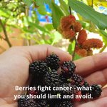 Photo by NaturalCancerReports (@Cancer_Reports)
