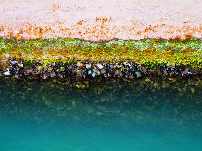 #EU-funded <a href="/AIRCOATProject/">AIRCOAT #H2020 🇪🇺</a> presents a new, bio-inspired coating solution for reducing #maritime #shipping #emissions! 

A new foil creates a passive air layer for #ship hulls making them more fuel efficient and environmentally friendly.

👉europa.eu/!QVFMtX

#H2020Transport