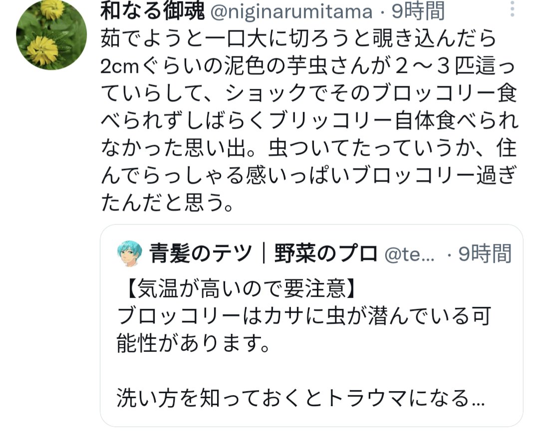青髪のテツ 野菜のプロ 気温が高いので要注意 ブロッコリーはカサに虫が潜んでいる可能性があります 洗い方を知っておくとトラウマになるリスクを減らせますよ 気になる方は記事を読んでみてください T Co Jhieijnauc Twitter