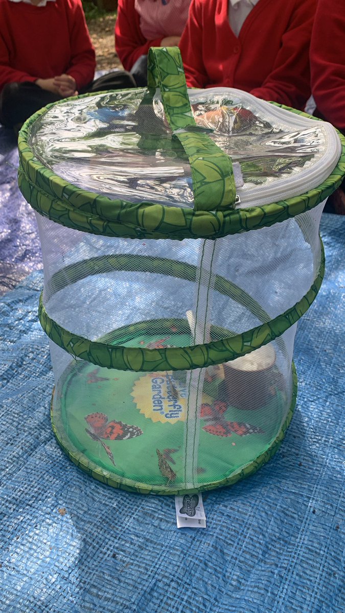 WMPrimaryF2's tweet photo. Fun in the wild walk with our butterflies. #WeHave5 https://t.co/18rwPuYPny