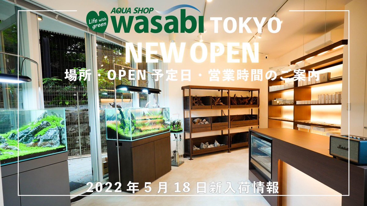 aquashopwasabi2's tweet photo. AQUASHOP wasabi 東京店の所在地をYouTubeにて公開しました❗️
https://t.co/7Z0k6UOka0
オープンまであと少し😉☝🏻
#aquashopwasabi #アクアショップワサビ #熱帯魚ショップ #熱帯魚店 #東京 #水草水槽 #水草レイアウト #水草ショップ #ネイチャーアクアリウム #ADA #ADA特約店 #水草 #アクアリウム https://t.co/pCJLThVgxi