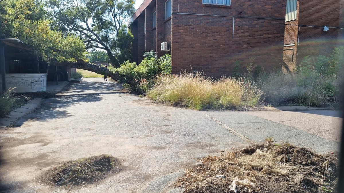 We have industrial parks that are deteriorating by the day mara we choose to erect a flag🤷🏾‍♂️
