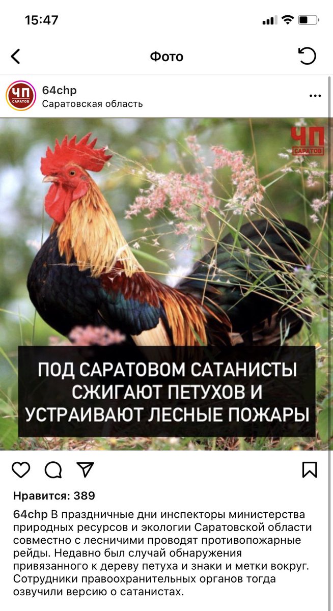 MaxFreesby's tweet photo. @Garik_R_O https://t.co/Ev05L501Yo