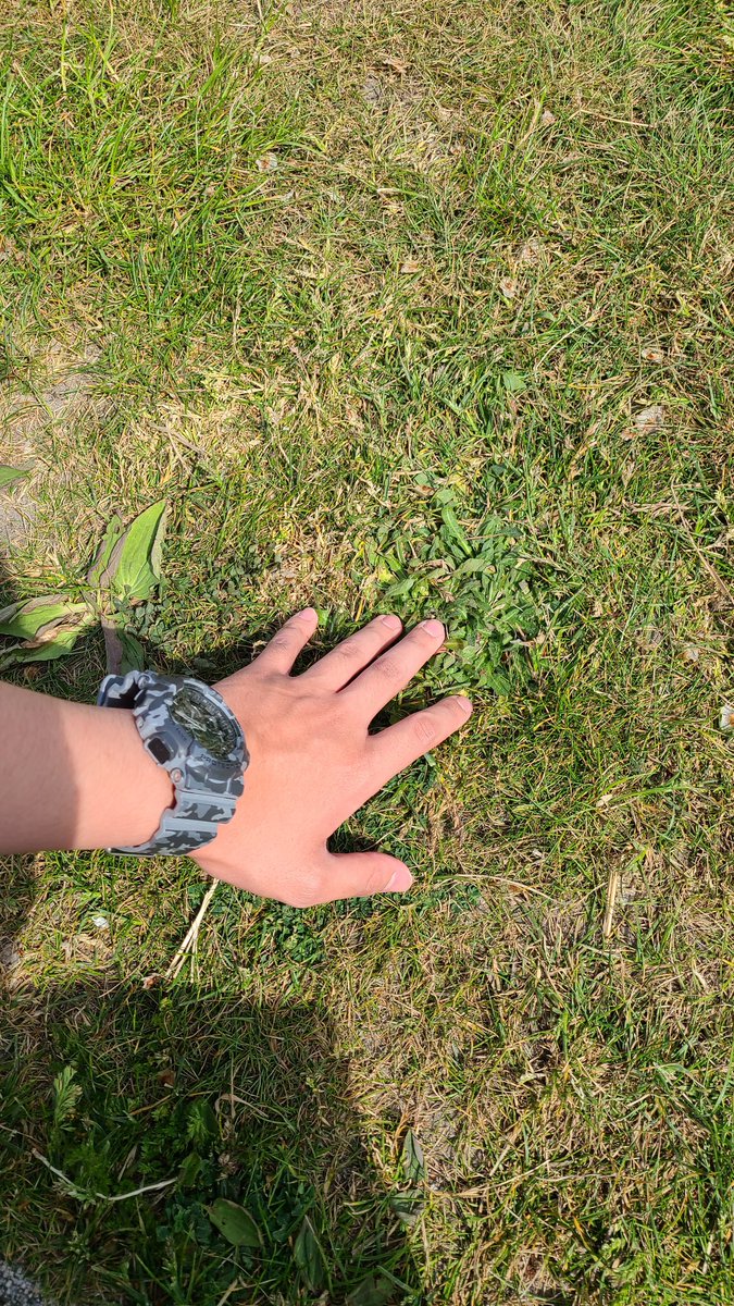 Touching Grass (Day 9)
Hiatus Edition

<a href="/pogdotearth/">Proof of Grass | POG.EARTH (草, 草)</a>