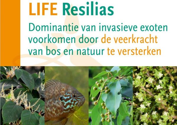 Vanwege de internationale interesse in ons <a href="/LIFEprogramme/">LIFE Programme</a> project en de #ecosysteemaanpak van #invasieveexoten, hebben we de #LIFEResilias  brochure vertaald naar het Engels, Duits en Frans. De online versies staan al op de website: resilias.eu/brochure/