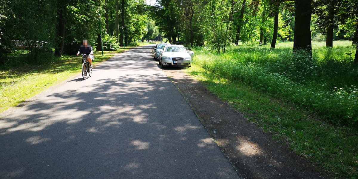 EinRobert1's tweet photo. Wieder so ein schöner Tag, auf den #Grünflächen des #Rotehornpark^s in #Magdeburg.

@ottoparkt @Gruene_MD @spd_magdeburg @dielinkemd @Ottostadt #srmd #Selerweg #Rotehornbrücke #Durchfahrtverboten https://t.co/ruTRlHSBLJ