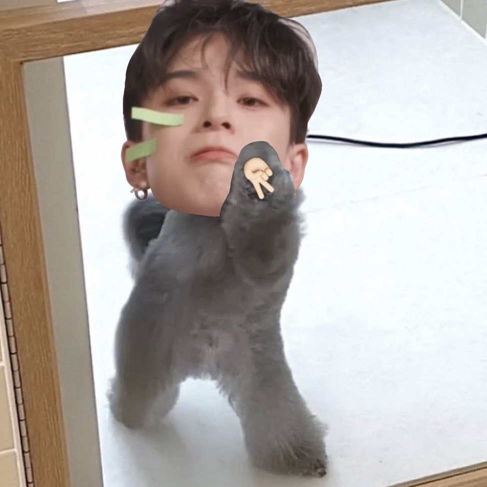 bemybbaby_'s tweet photo. 갸루! https://t.co/SWYxJ4MnMh