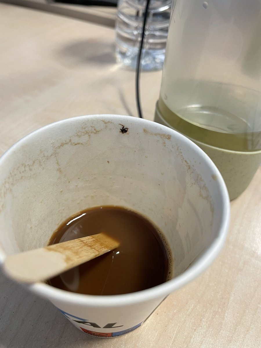 tanifidus's tweet photo. @semcalvending me he encontrado una hormiga en mi café, cuando ya llevaba la mitad bebido… https://t.co/vMaT8ezQjH