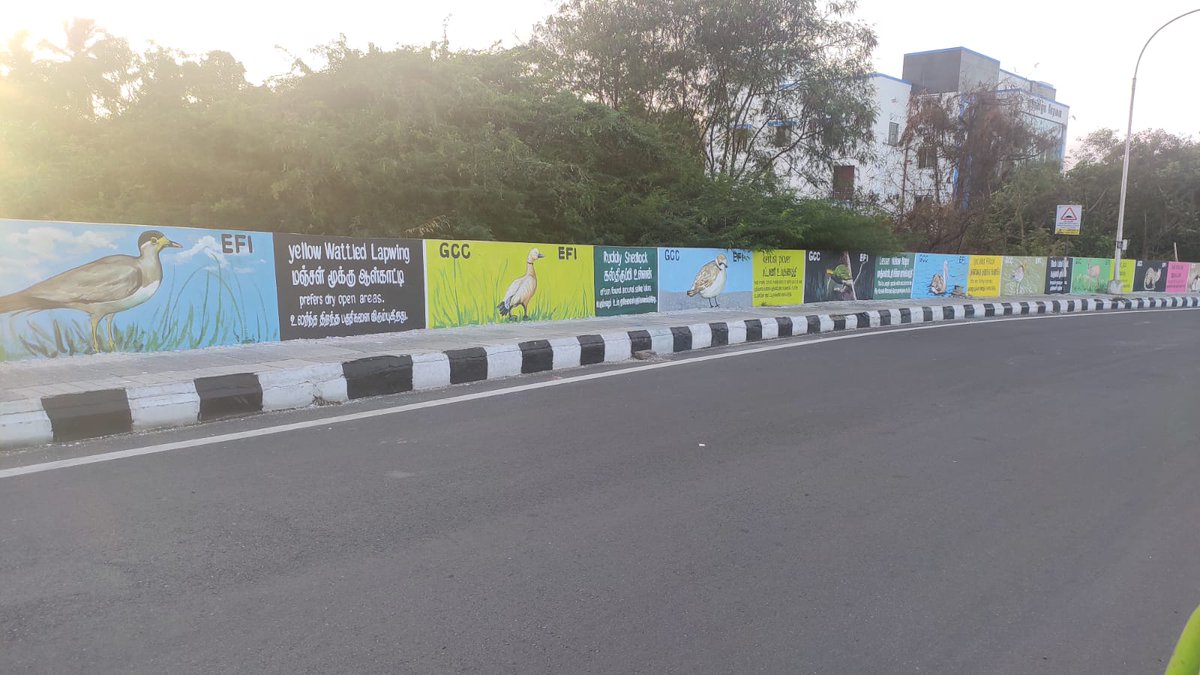 EFIVolunteer's tweet photo. Want to see all the exotic Indian birds that you've only heard of? Then drive across the #AdyarBridge in #Chennai!
E.F.I's #WallE brings to life the public walls with messages about the environment.
Volunteer for India & her Environment with E.F.I
#EFI #BirdsofIndia https://t.co/Gq4dtMD0QE