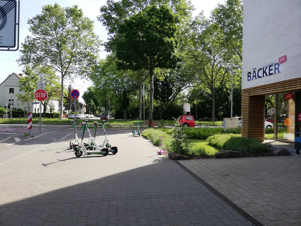 Nadia Menze tweet media