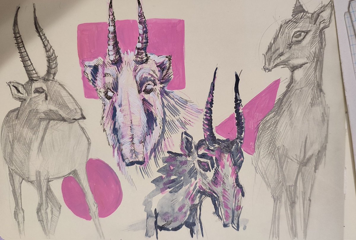 ☆Umanya Art☆ tweet media