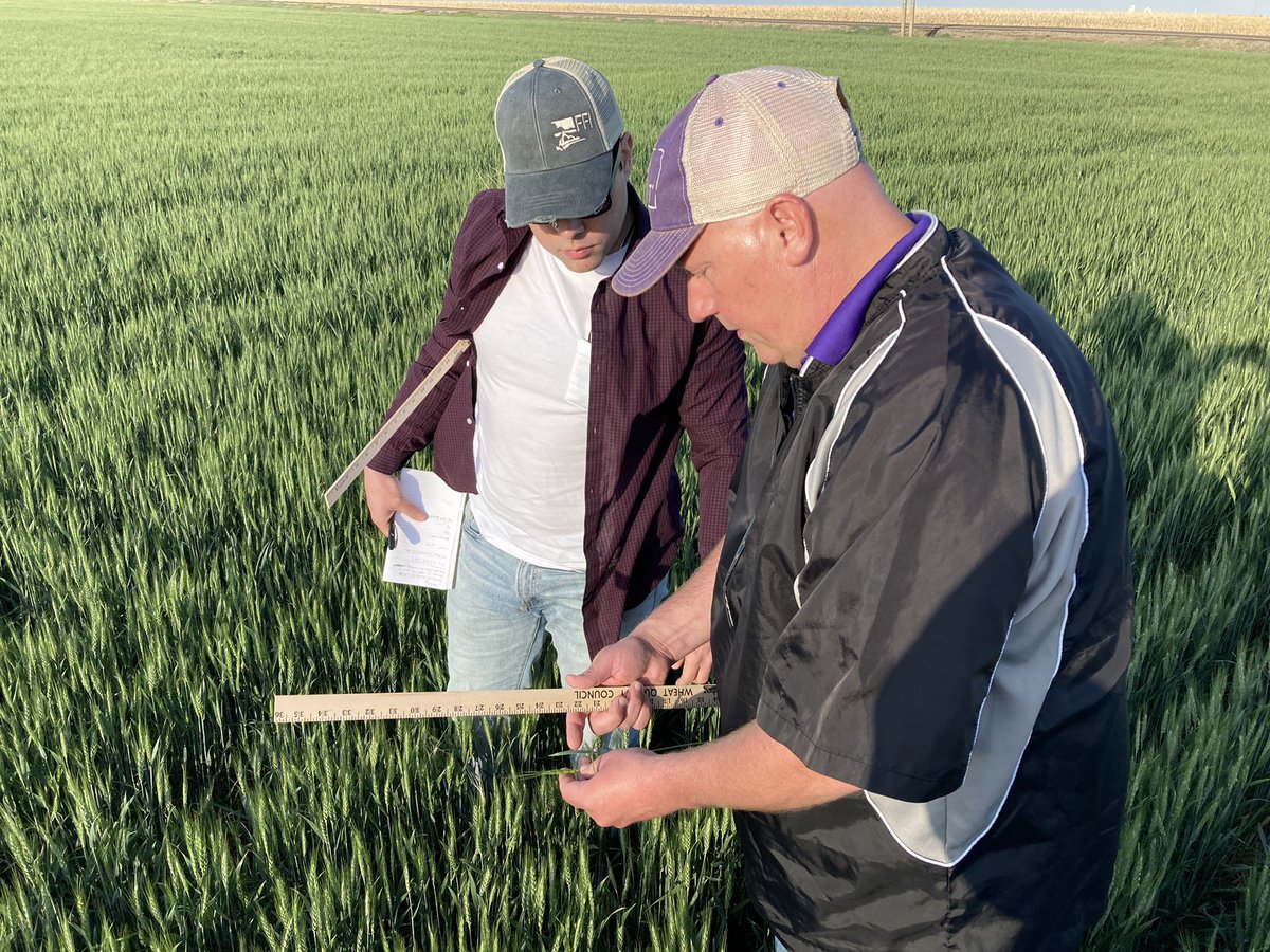Kansas Farmer tweet media