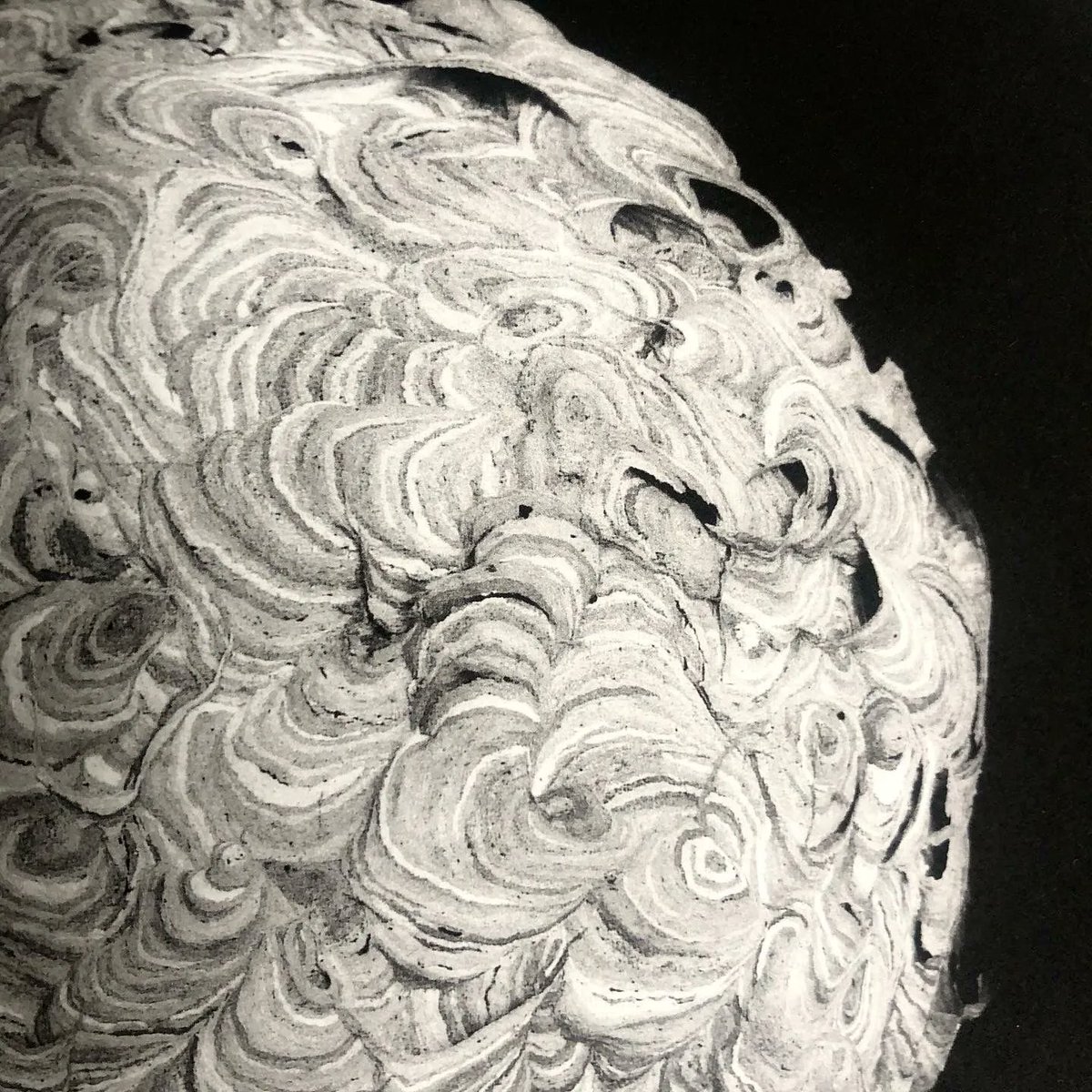 Atelier21Studio's tweet photo. British Journal of Photography winner @bjp1854 @mingdenasty came in to make some #polymerphotogravures with some exceptional results!
Private sessions are available to book by emailing: atelier21bristol@gmail.com
#photopolymer #contemporaryprint #print #midtones #photooftheday https://t.co/gLbYthviHz