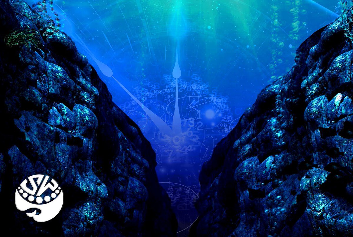 Time must be flowing slowly at this depth. 🤔⏱️ But don't worry, we didn't forget you! 
#SwaggyWhalesMC #NFTs