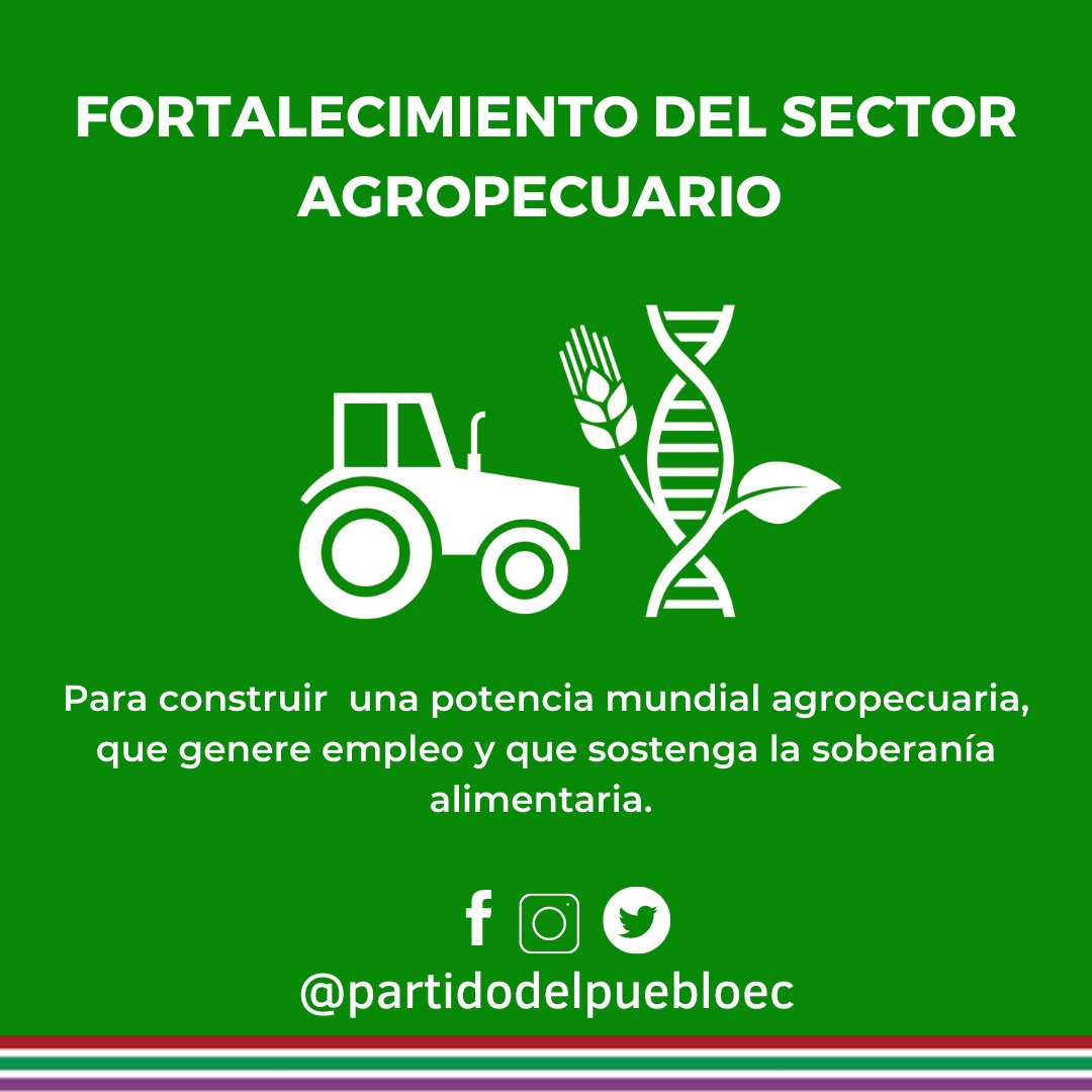 PartidoPuebloEc's tweet photo. ¿Sabías cuáles son los principios del Partido del Pueblo? 

#somospuebloec  #Ecuador #únetealpartidodelpueblo 🇪🇨 https://t.co/3G9keE7HT3