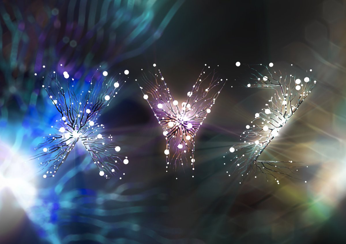 FusionXnft's tweet photo. The secret is out 👀 We've just raised 7 FIGURES  + our website is live. You may be thinking WTF is XYZ? A thread👇🧵

https://t.co/1sgWyETPzE

Oh &amp; did someone say a limited Discord invite? Follow the thread for a golden nugget at the end 🥇 1/13 https://t.co/iFikNruNAL