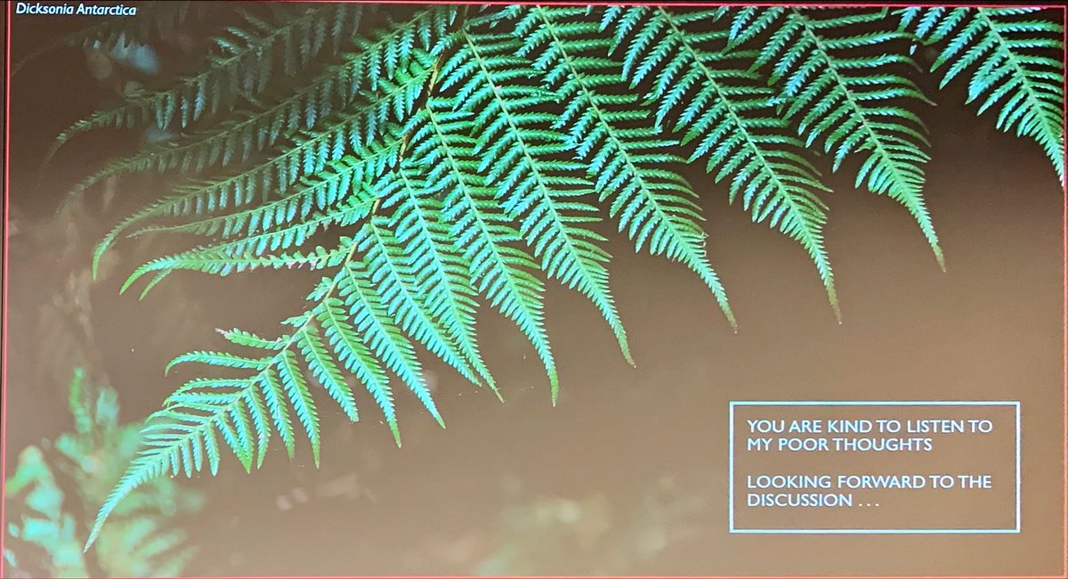 Moira Sarsfield tweet media