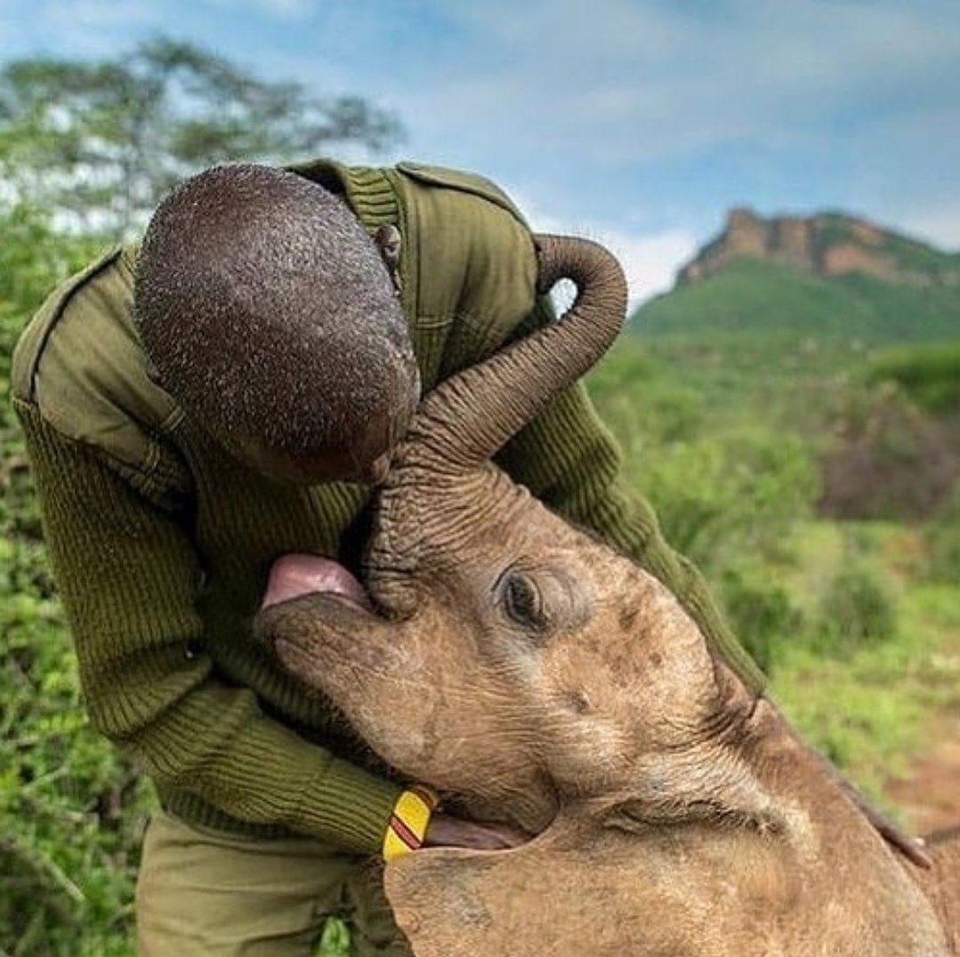 susantananda3's tweet photo. We need each other💕

(From Fauna Natural) https://t.co/iIpaMeLnjq