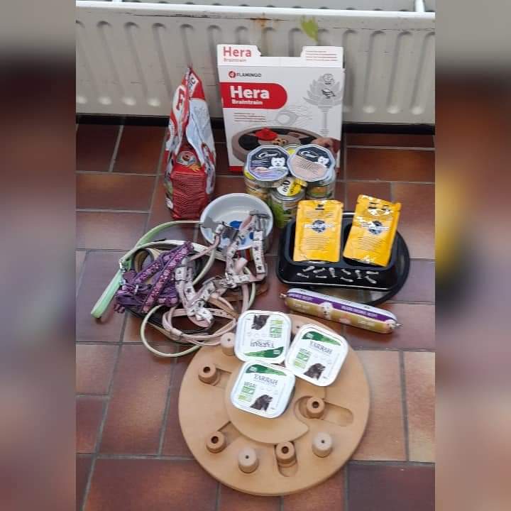 DierenvbUtrecht's tweet photo. Gevulde buikjes en benodigdheden voor de ondersteunende huisdieren. Dank jullie wel @petsplaceNL Terwijde @petsplaceNL Leidsche Rijn en dierenliefhebbers voor de donaties 🐾🐾 https://t.co/HbF17xsePR