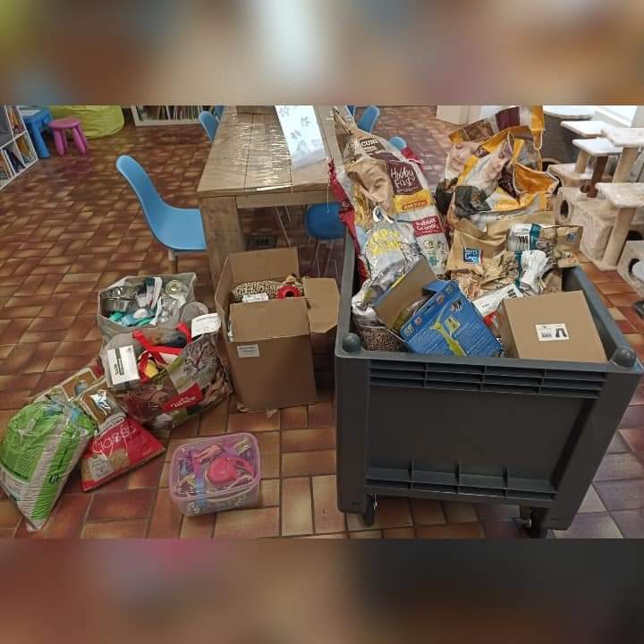DierenvbUtrecht's tweet photo. Gevulde buikjes en benodigdheden voor de ondersteunende huisdieren. Dank jullie wel @petsplaceNL Terwijde @petsplaceNL Leidsche Rijn en dierenliefhebbers voor de donaties 🐾🐾 https://t.co/HbF17xsePR