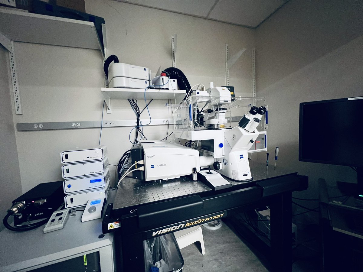 SivanathanKisha's tweet photo. Powering up for another 8 to 12 hours cycle of imaging on #lsm880. And introducing this picture from my new handheld lenses 🤩 #iphone13pro #180522 🔬📸 https://t.co/U8P66Bzm4B