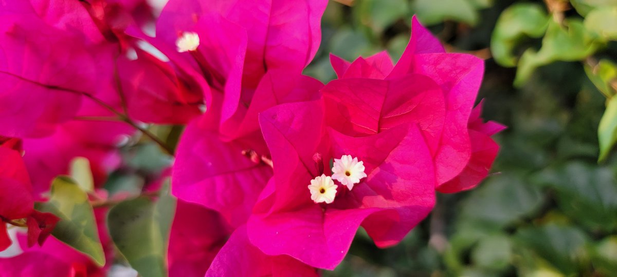 Good morning beautiful people ✨️ Been feeling under the weather send me pretty pics to cheer me up 🥰