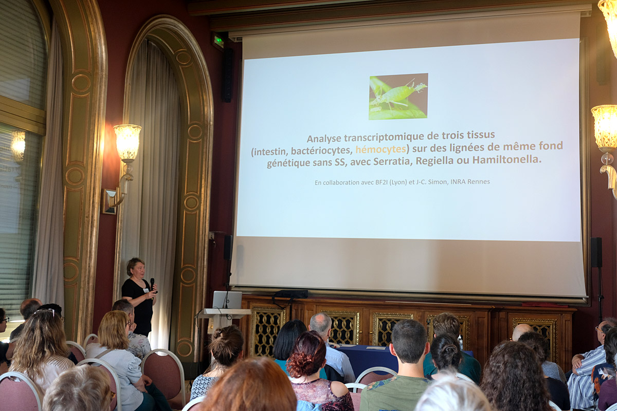 INRAE_DPT_SPE's tweet photo. Les rencontres du réseau #INRAE #BAPOA (Biologie Adaptative des Pucerons et Organismes Associés) organisées les 17 et 18 mai 2022 au Centre Universitaire Méditerranéen à Nice ont accueilli une soixantaine de spécialistes des #pucerons et des interactions avec leur #environnement https://t.co/1iZYH9xfPL