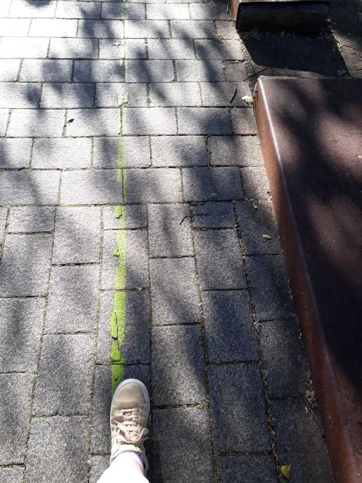 InseePdL's tweet photo. On continue avec le Défi mobilité ! 
Certains agents n'hésitent pas à venir de loin avec leur #vélo, avez-vous reconnu le bac des bords de Loire ?
Pour les Nantais, c'est #bicloo et marche aujourd'hui 😊 https://t.co/RyxE06zOuD
