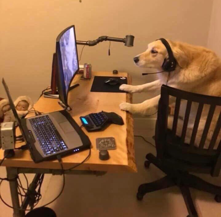 Dexerto's tweet photo. Me playing a game 10 minutes after I just called it trash and said I’d never play it again https://t.co/WjHjN97poV