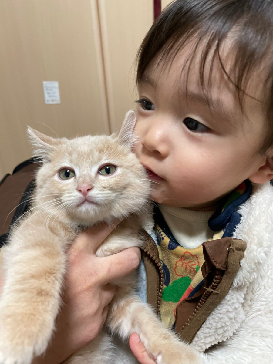 yuka🦁RILYS tweet media