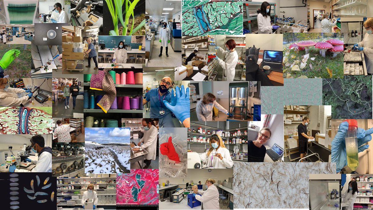 Here <a href="/OfficialUoM/">The University of Manchester</a> our staff network is working hard to raise the profile of our #technical staff. The last "Technical Stills" competition produced some great images of what they do and how they work to support teaching &amp; research. We use this collage to support #iamatechnician