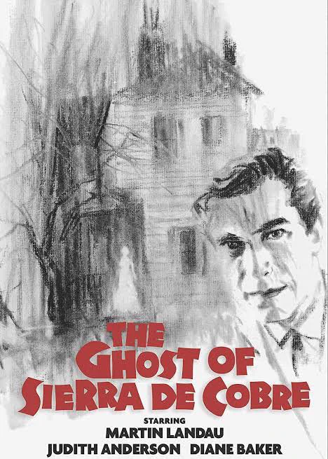 映画『シェラ・デ・コブレの幽霊』(1964年)観た。伝説のホラー映画アマプラ解禁とのことで。字幕間違えてるし早過ぎるしでパニクったけど、モノクロの美しさびんびんで好きだった。幽霊かっこいい。 