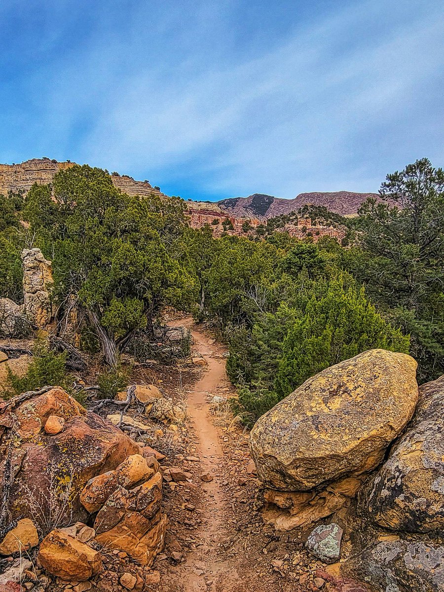 wander4insp's tweet image. The Oil Well Flats Trail System is one of Colorado’s premier mountain biking destinations with numerous routes possible over several excellent trails, all of which are available for hiking.

#Hike #ColoradoTrails #LandscapePhotography