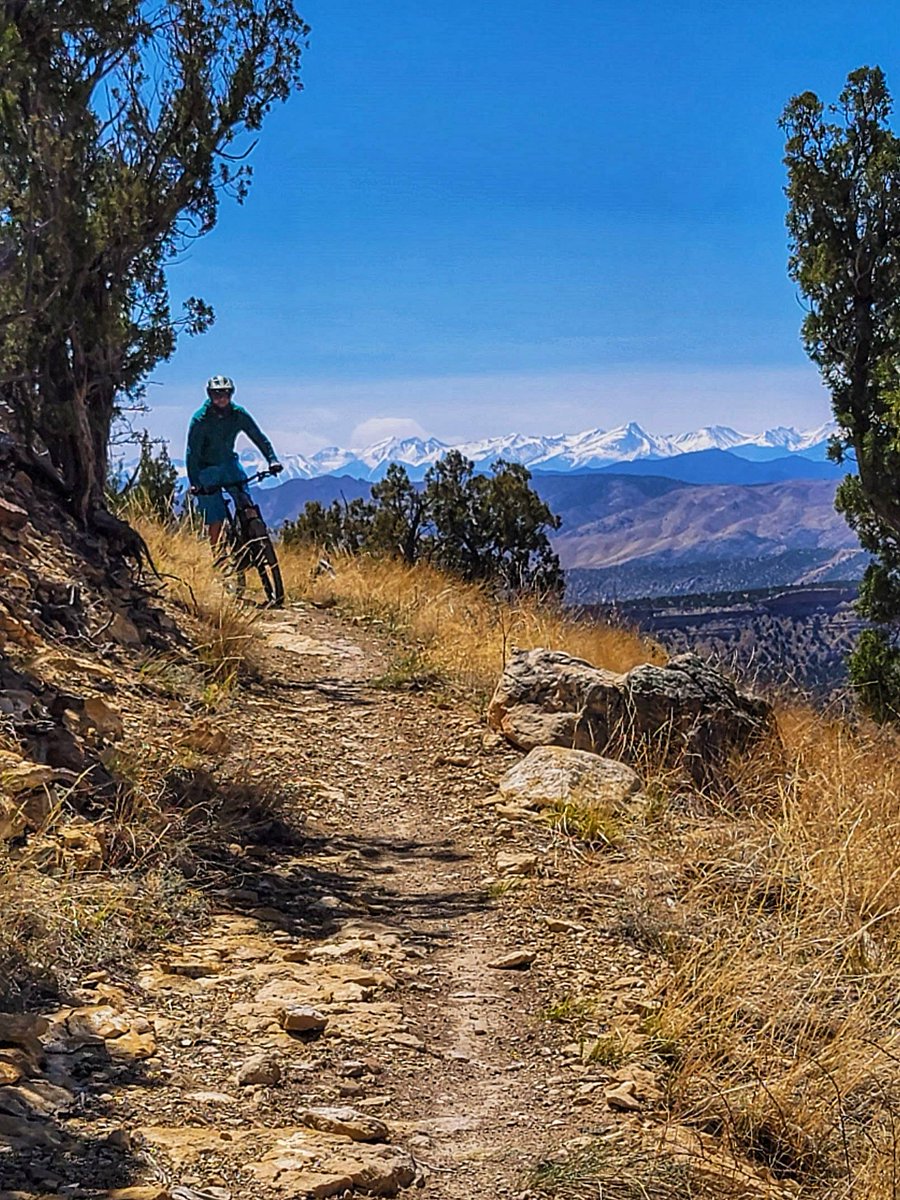 wander4insp's tweet image. The Oil Well Flats Trail System is one of Colorado’s premier mountain biking destinations with numerous routes possible over several excellent trails, all of which are available for hiking.

#Hike #ColoradoTrails #LandscapePhotography