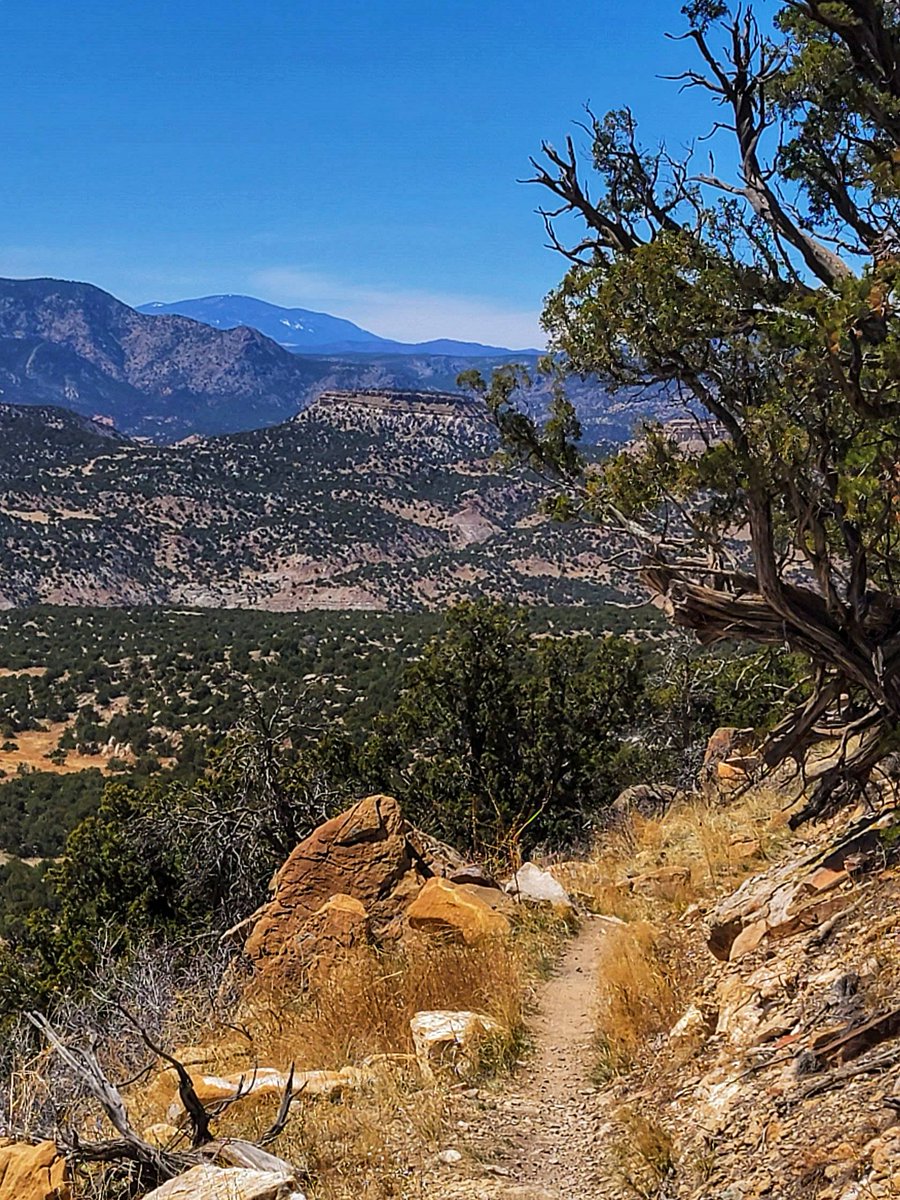 wander4insp's tweet image. The Oil Well Flats Trail System is one of Colorado’s premier mountain biking destinations with numerous routes possible over several excellent trails, all of which are available for hiking.

#Hike #ColoradoTrails #LandscapePhotography