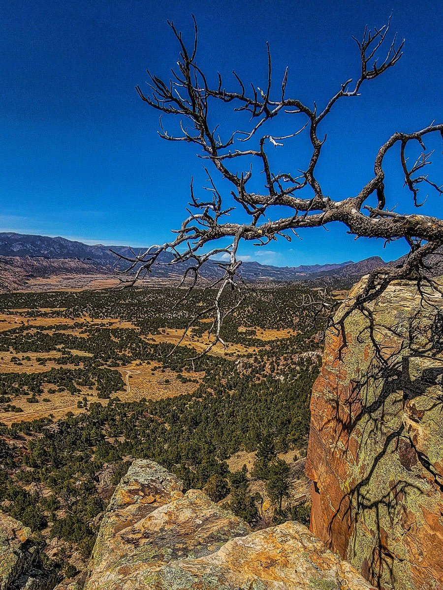 wander4insp's tweet image. The Oil Well Flats Trail System is one of Colorado’s premier mountain biking destinations with numerous routes possible over several excellent trails, all of which are available for hiking.

#Hike #ColoradoTrails #LandscapePhotography
