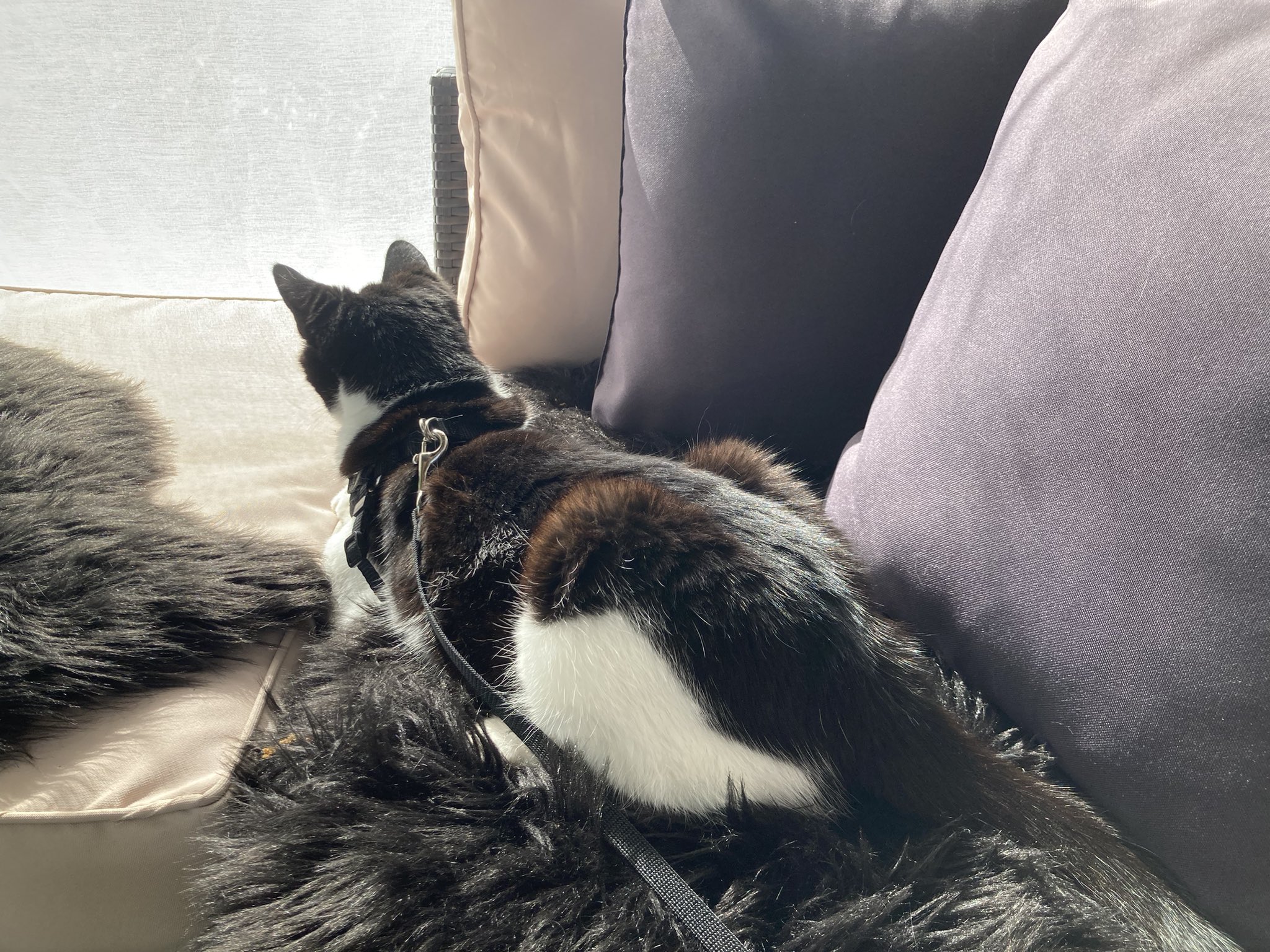 Insert trendy bandwagon topic with emojis here on Twitter "First day