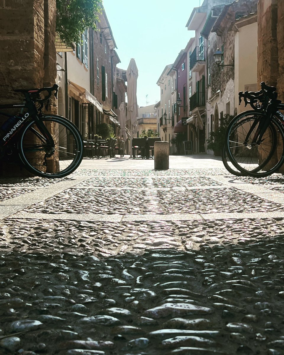 podium_massage's tweet photo. #majorcacycling #pinerello #massi https://t.co/yQfDAST2lq