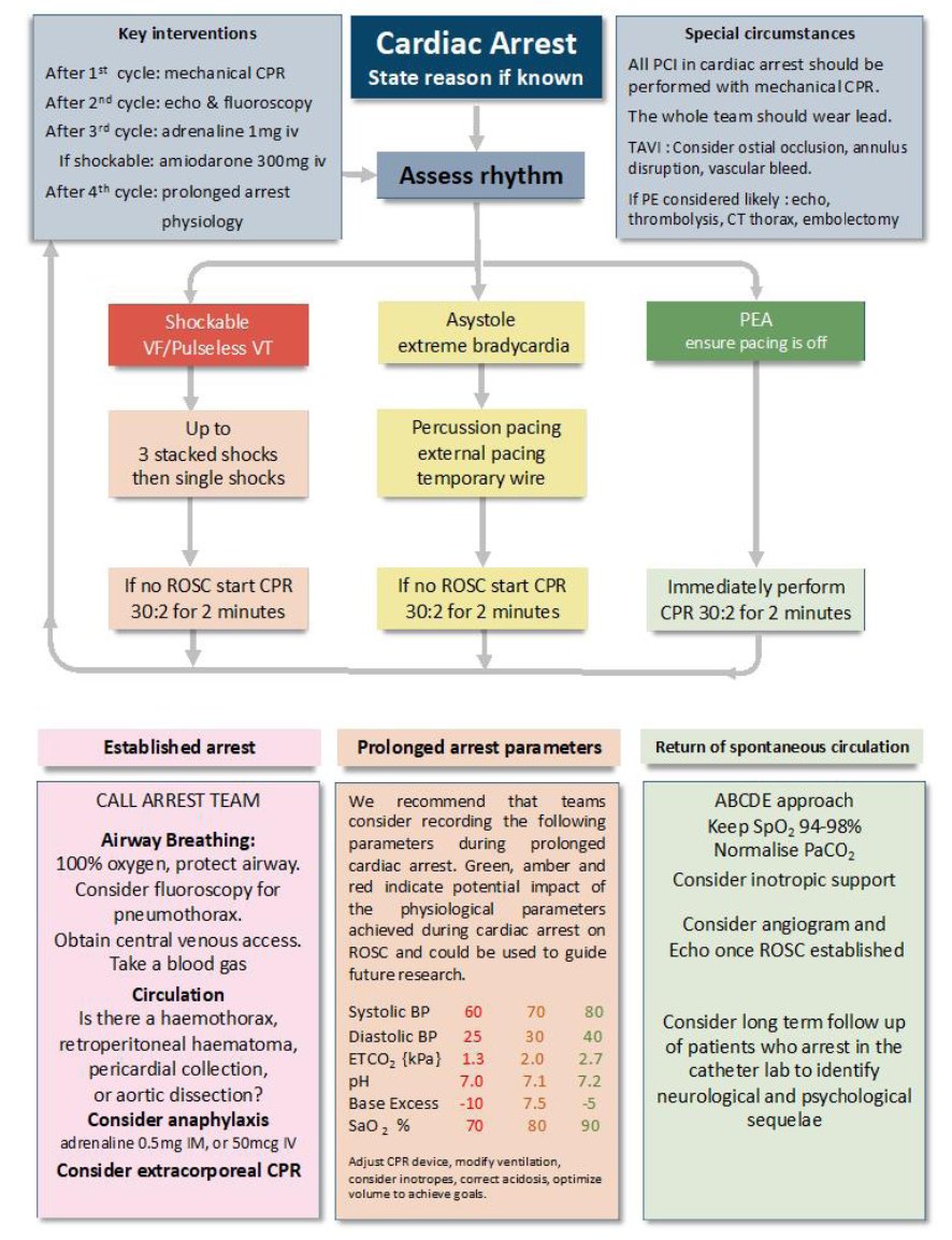 Emergencies in the cardiac cath lab come up from time to time in our case discussions on the Resuscitology course. Here are the latest Joint British Societies’ guideline on management of cardiac arrest in the cardiac
catheter laboratory

heart.bmj.com/content/heartj…