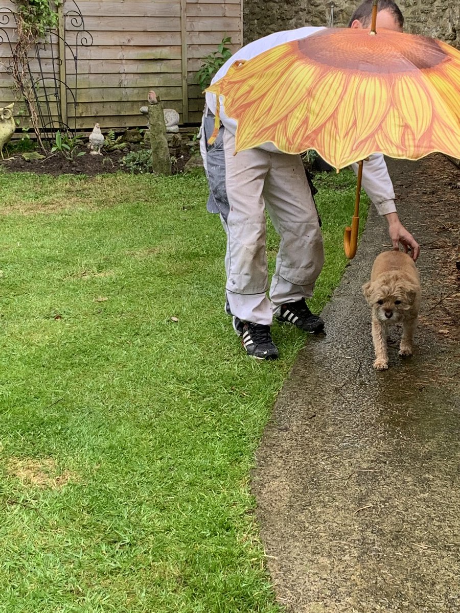 PrincessMavisM1's tweet photo. When it starts to rain when one is in one’s summer house! https://t.co/ljB9b4msgS