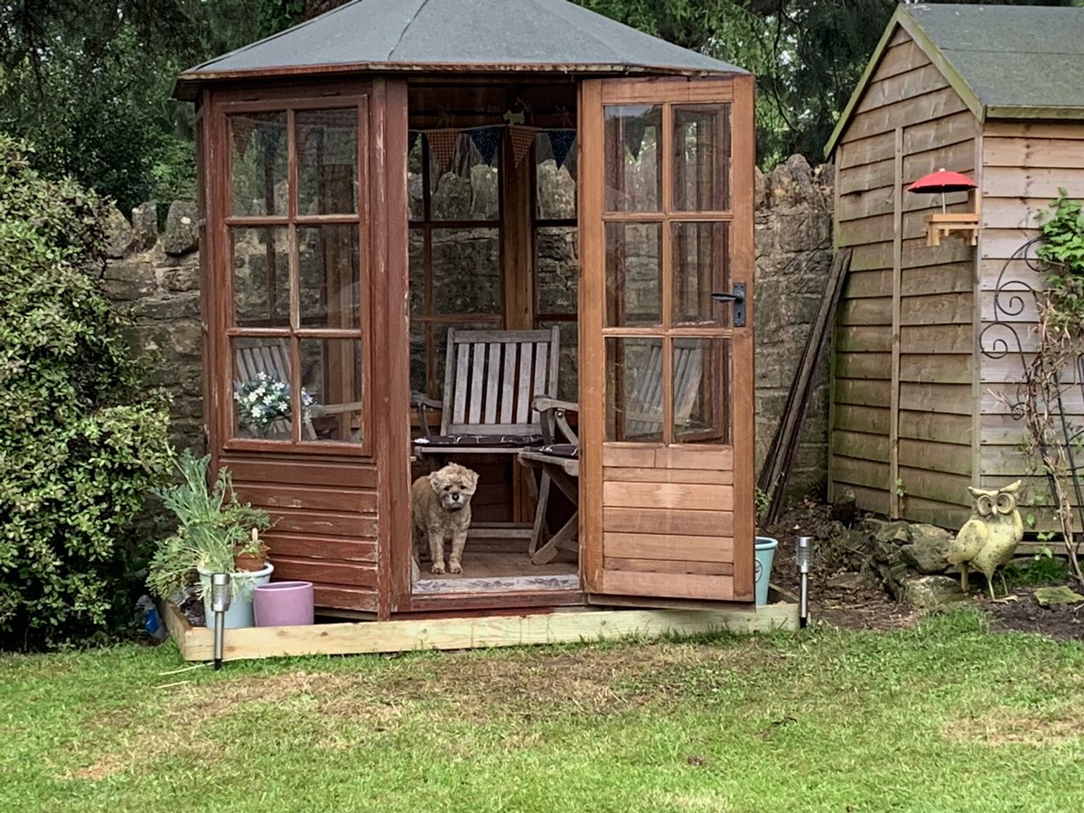 PrincessMavisM1's tweet photo. When it starts to rain when one is in one’s summer house! https://t.co/ljB9b4msgS